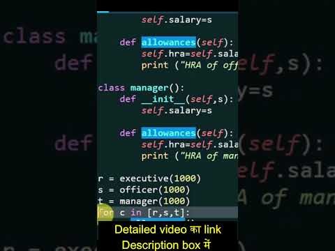 polymorphism in python