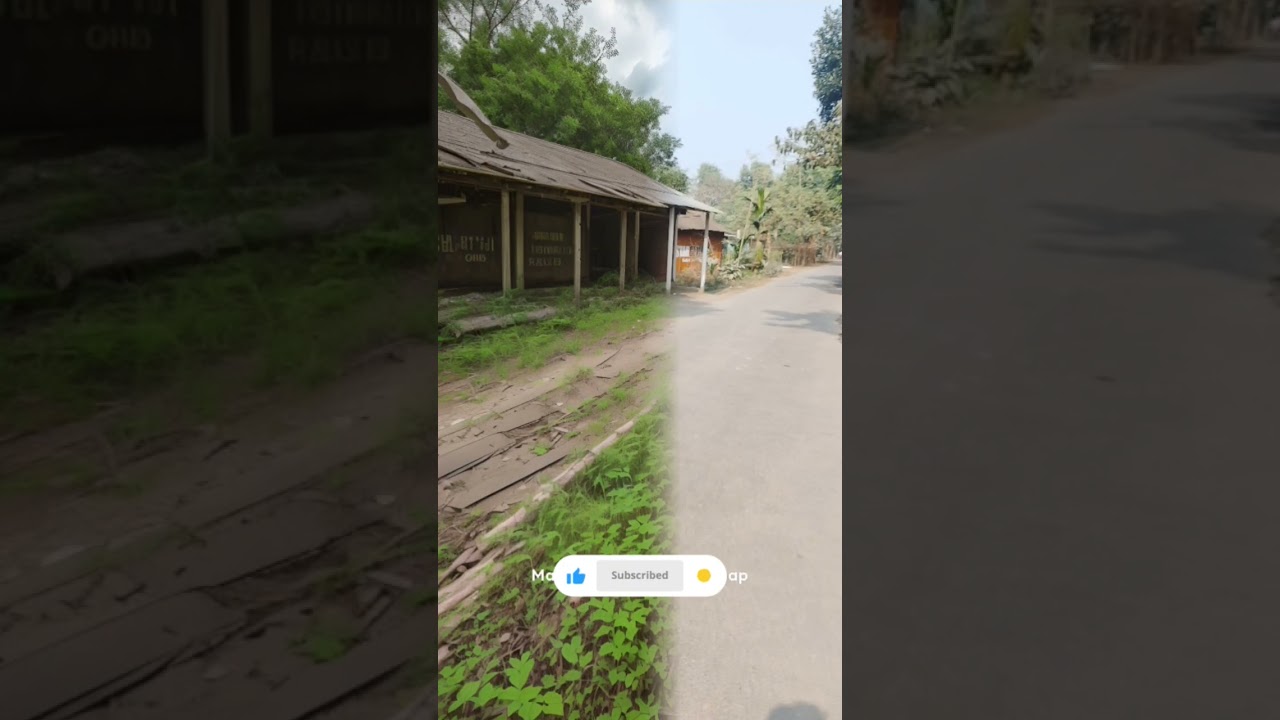 photoleap photo editor // 