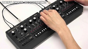 Korg Monotribe Version 2 (5 of 5): Daisy Chain/Linked Sequence