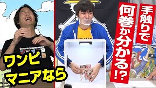 【検証！】ファンならわかる!?箱のフィギュアは何でしょね!?【仲間がいるよTube!!!】