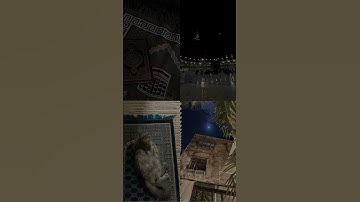 القارئ : عبدالرحمن مسعد