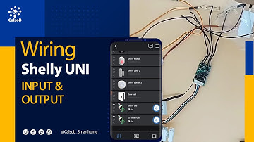 Shelly UNI Output and Input Wiring