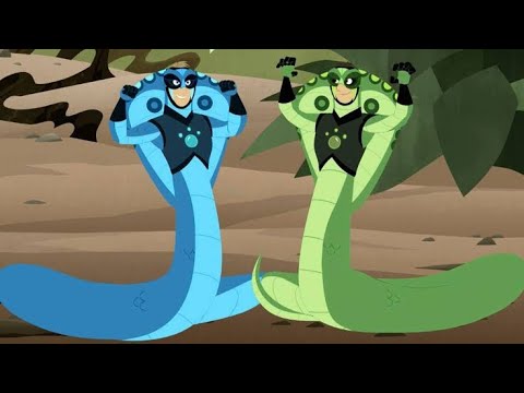 aventura com os kratts - a rainha das najas! 🐍👑 - episódio completo em português - kratts series