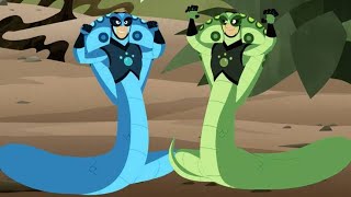 aventura com os kratts - a rainha das najas! 🐍👑 - episódio completo em português - kratts series