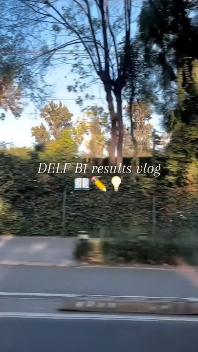 DELF B1 Results Vlog YouTube delf-b1-results-vlog-youtube