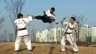 Hapkido kicking