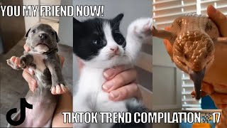 YOU MY FRIEND NOW 🥰 | TIKTOK TRENDS ANIMALS COMPILATION 2021#17