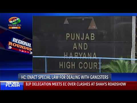 Punjab and Haryana HC recommends special laws to curb 'gangsterism' in the state Punjab and Haryana HC recommends special laws to curb 'gangsterism' in the state