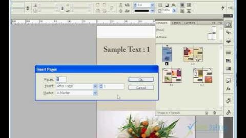 Adobe Indesign CS4 (TAMIL) MANAGING PAGES==Insert Pages-001.flv