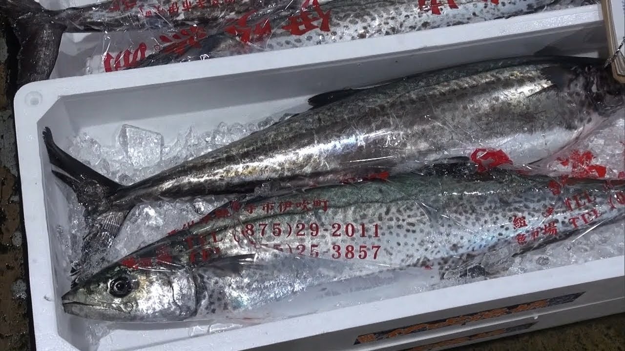 瀬戸内に春告げる サワラ の初競り 市場は新型コロナ対策のため入場制限 高松市 Ksbニュース Ksb瀬戸内海放送 瀬戸内に春告げる サワラ の初競り 市場は新型コロナ対策のため入場制限 高松市 Ksbニュース Ksb瀬戸内海放送