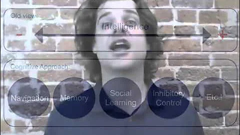 Dog Emotion and Cognition - Cognition Defined