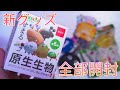 せまる原生生物フィギュア!?発売されたばかりのピクミン新グッズを、一気に開封していく!!
