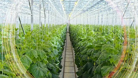 Can Tech Save The World - BBC Click