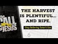 6 - THE HARVEST IS PLENTIFUL... And Ripe. -Stop Believing Satan’s Lies