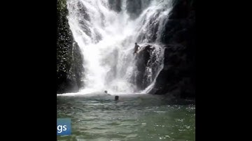 thiên nhiên hoang dã rừng sâu tắm trải nghiệm thác nước tuyệt đẹp