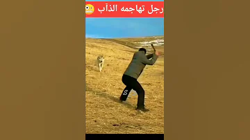 رجل تهاجمه الذئاب 
