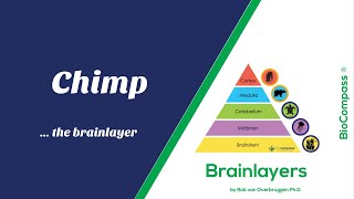 BioCompass® | Unlock Your Chimp Brain: Understanding the Cortex and Social Behavior