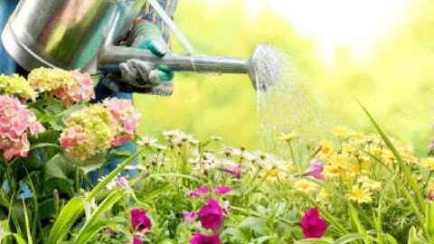 اجمل صوت في مدينة مرتيل ( من مسجد رياض صوفيا بمرتيل) ماتيسر من سورة الغاشية