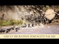 Tanzania Serengeti Safari Great Migration | Makasa Tanzania Safari | VLOG #72
