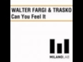 Can You Feel It - Fargi and Trasko (Fulton Mix).wmv