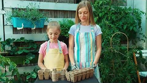 The Future is Biodegradable: Discover the Power of Sustainable Materials