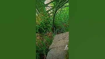 #اكسبلور تلاوة رائعه [ تقشعر لها الأبدان*اللهم صلي وسلم على سيدنا محمد وعلى اله وصحبه اجمعين #لايك