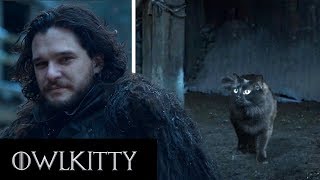 If Jon Snow Came Home To His Cat