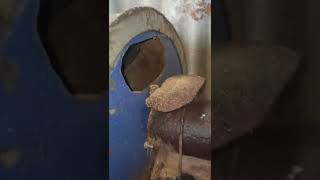 Барабанная сушка продам сушилка з бочок для опилок, щепи, песка сипучих