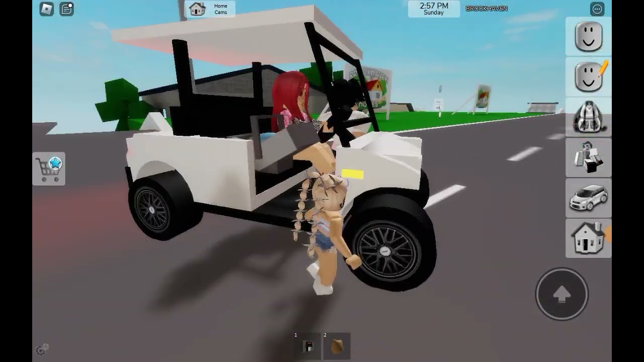 Τρελό party στο Brookhaven part 2