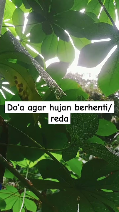 Doa agar hujan berhenti/reda #doa #doahujan #viralshorts #shorts