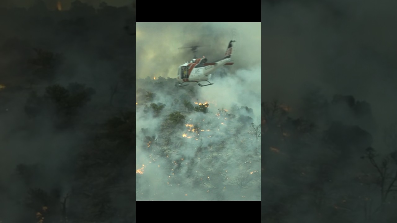 🔥 Only the Brave - The EPIC Wildfire Rescue Mission! (Real-Life Heroes)