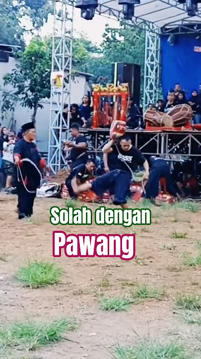 solah dengan pawang #kudalumping #jaranan #gayatrirojokoyo