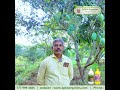 Our Mango Farmer Mr. Thiyagarajan from Salem shares His Results!