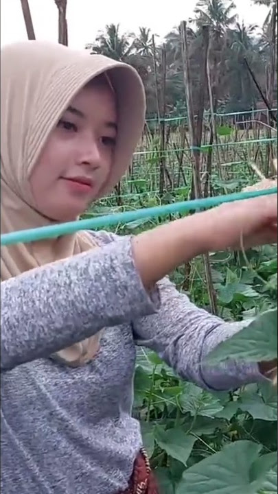 Gadis desa cantik bantu berkebun #shorts