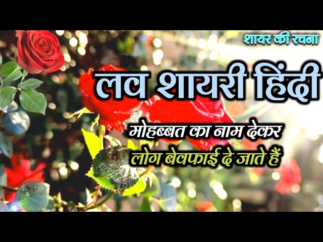 मोहब्बत का नाम देकर लोग ♥️| hindi love shayari video | love shayari | hindi shayari video