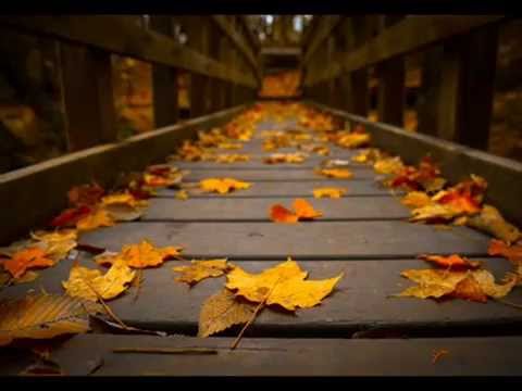 ოთიკო ანდრიაძე -  ჩემი იქნები