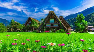 Rural Japan but its extra chill | Lofi Mix | CHILLAF