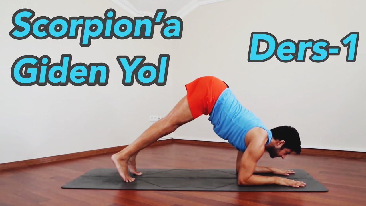 Scorpion'a Giden Yol Ders-1 (Orta Seviye)