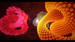 Subsurface Scattering Shader for Unity (with tessellation)