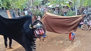 Tari Barong 📀 Ebeg Ngesti Laras Budaya 📍 Live Giyanti 