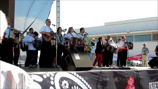 Concertinas - 2 - Romaria da Senhora da Agonia 2013