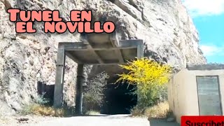 Visitamos Soyopa, la estrella y el novillo// Hermosillo son. México 🚗🏞️😲