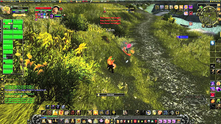 Arathi Basin - PvP Holy Paladin