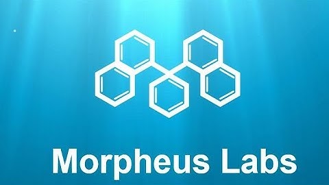 Morpheus Labs: Robust and Wholesome Full Stack BPaaS