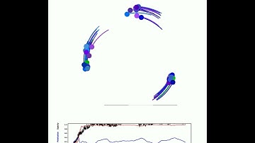 Modeling collective behaviors from optic flow and retinal cues: Video S4