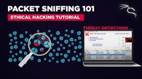 Part 1 Protocol Basics, Traffic Sniffing, and Recon with kali Linux