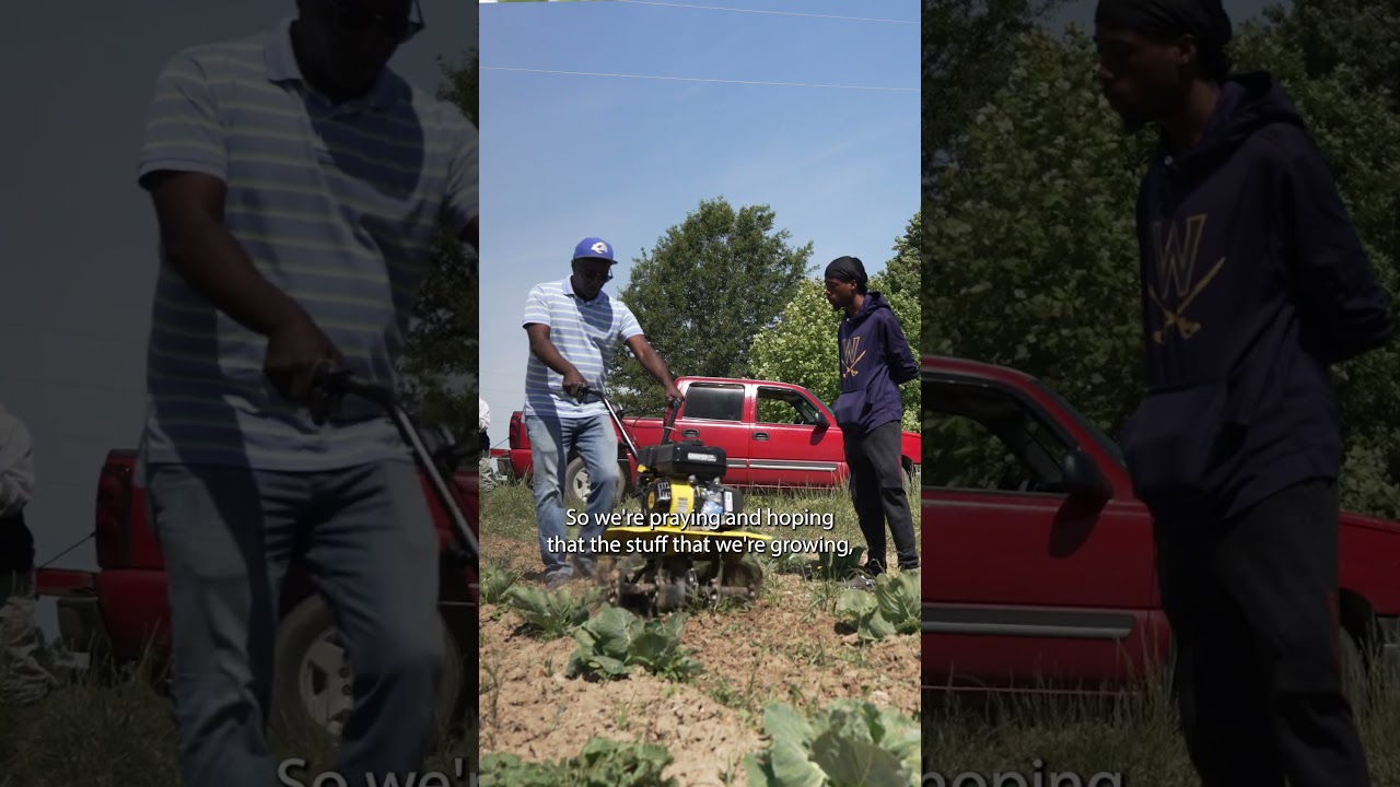 Mississippi farming co-op grows produce to improve community’s health #Shorts