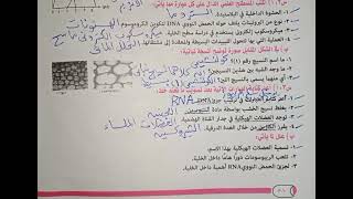حل امتحان احياء محافظة القاهرة أولى ثانوي أزهر ترم أول 2020
