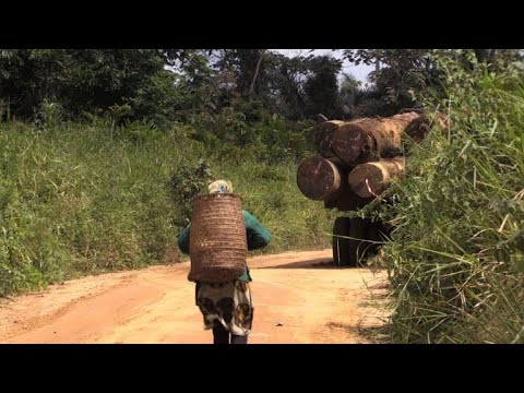 In Gabon, villagers angry at logging companies