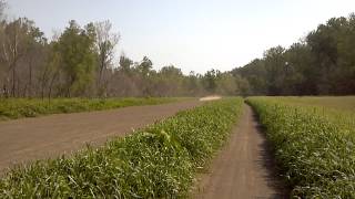Honda cr250r speed run